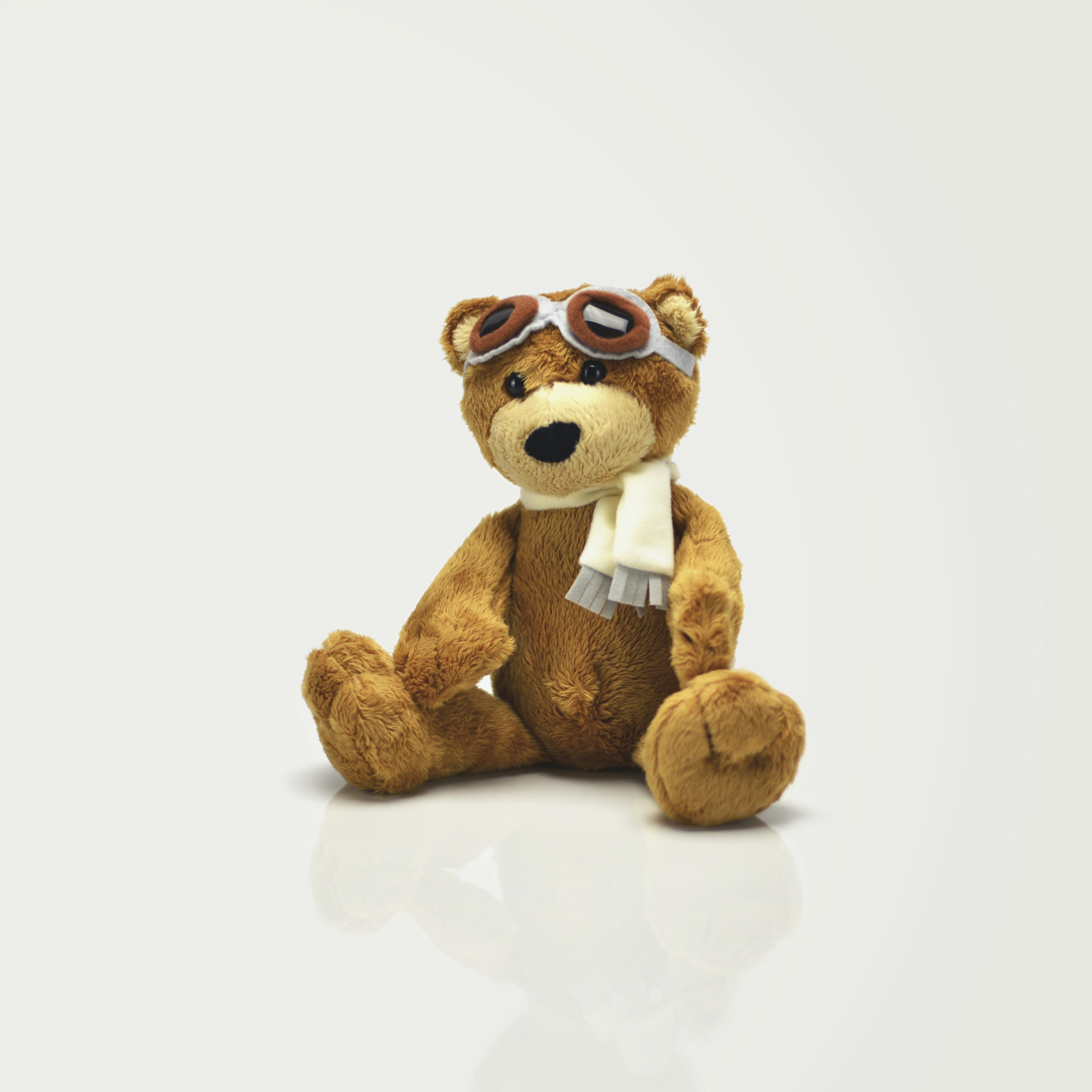 Teddy bear wearing aviator goggles and scarf.